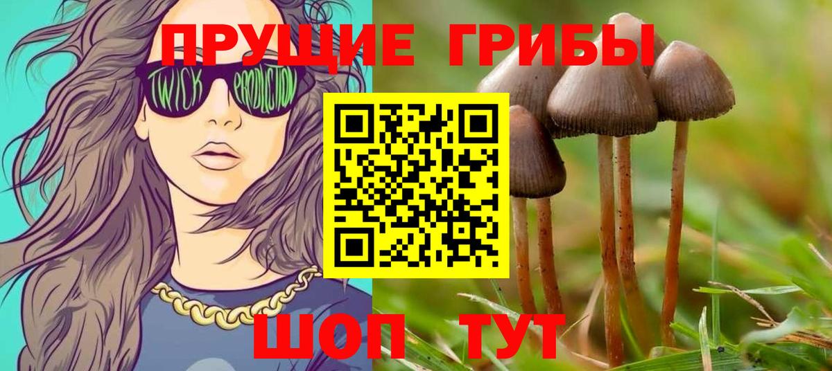 Вичуга  Псилоцибиновые грибы прущие грибы  Вход с VPN 